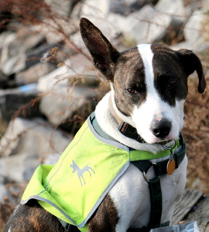 life-jackets-on-boat